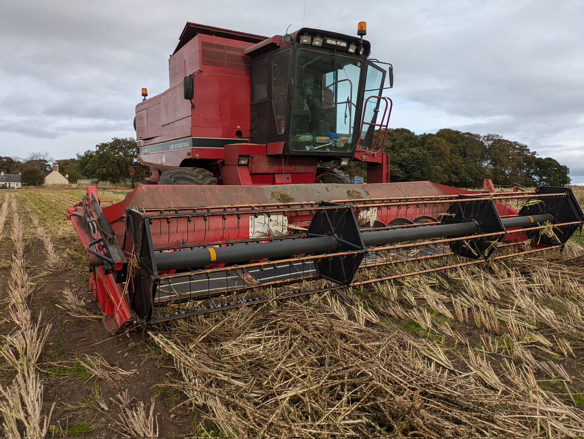vaderbogger's tweet photo. Big drams eventually tonight, 15acres #Spinach seed cut. It's not been easy Betsy has mostly behaved over the period  #Overandout #harvesthome #Harvest24 https://t.co/7KQ9rfUt5Z