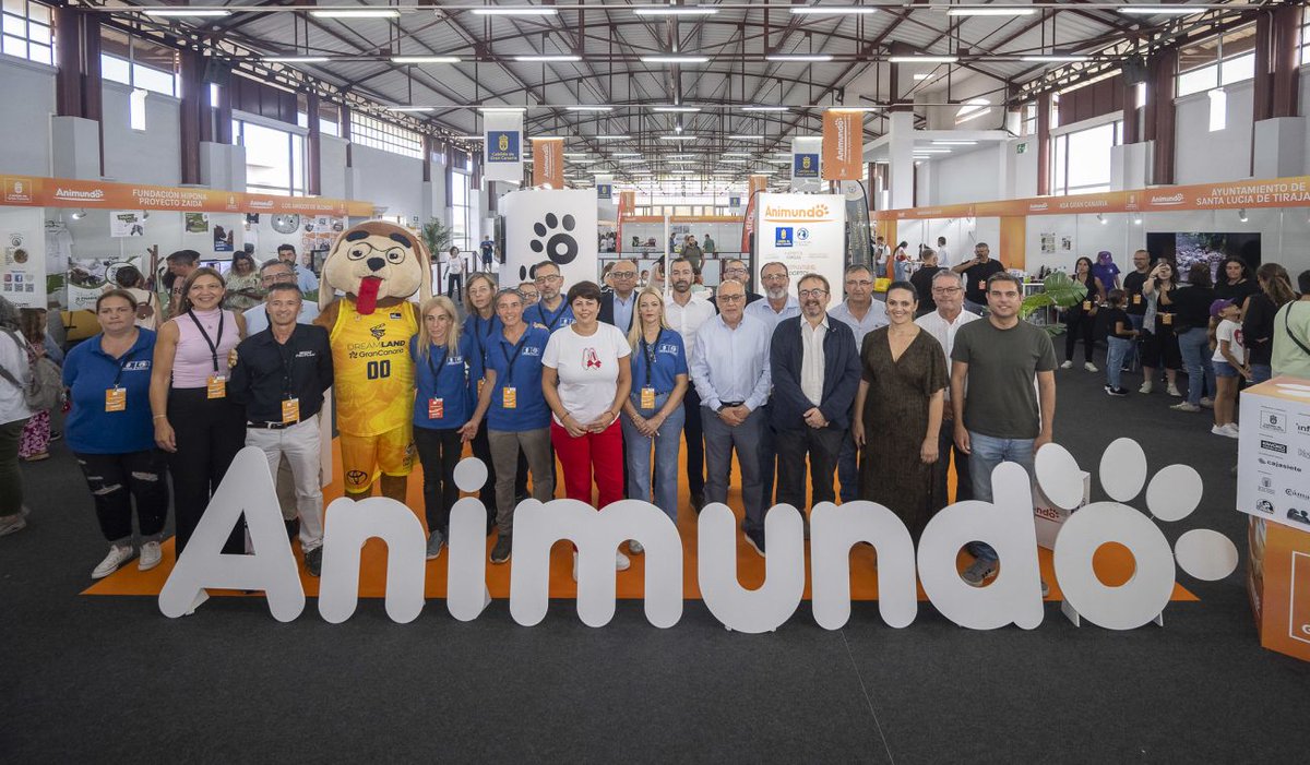 SolActualidad's tweet image. Animundo en Infecar abre sus puertas para promover adopciones responsables y encontrar hogares permanentes. @infecar #Animundo @GranCanariaCab #animales n9.cl/1o168k