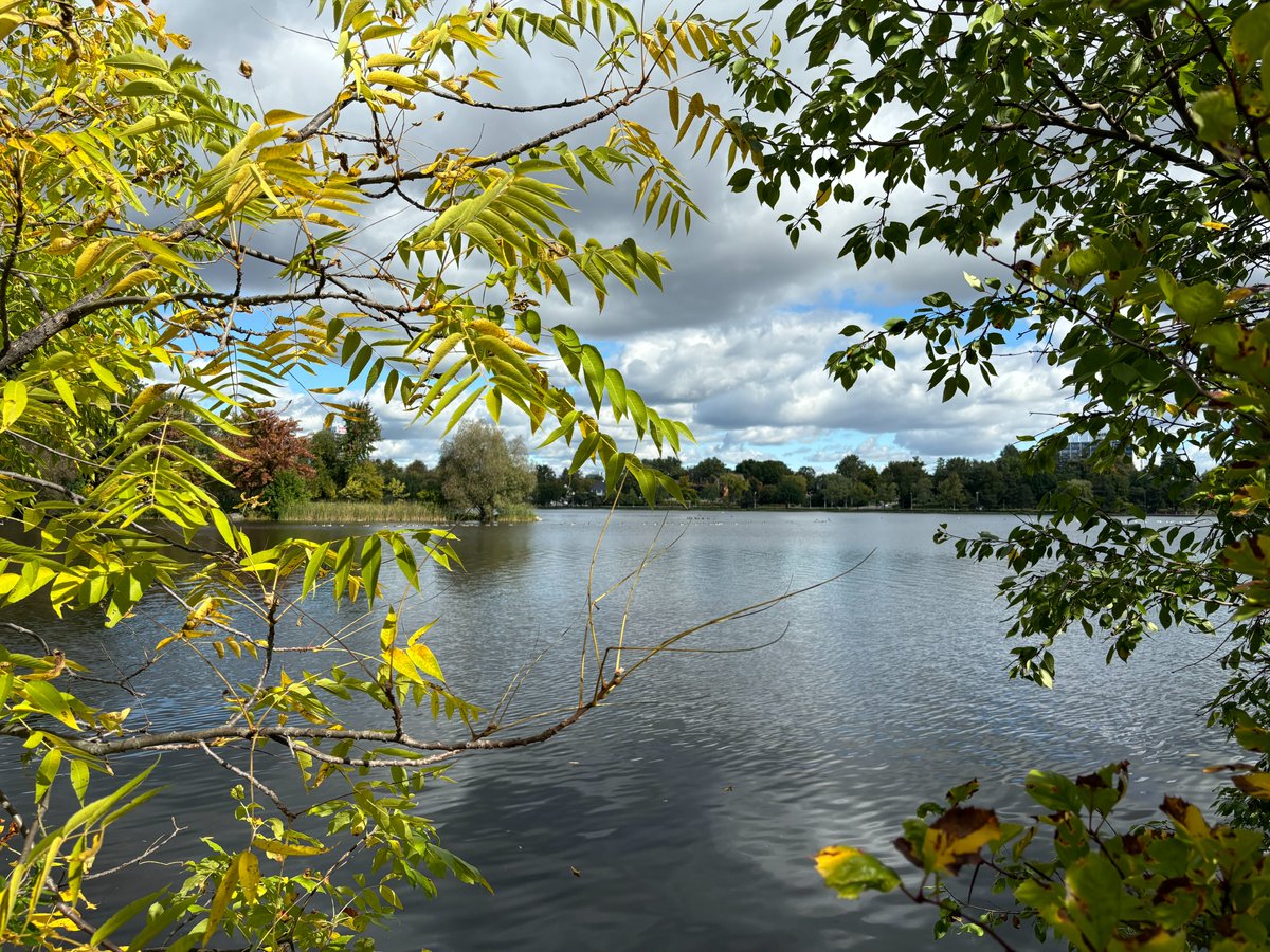 Autumn is looking pretty stunning in #Ottawa right now.