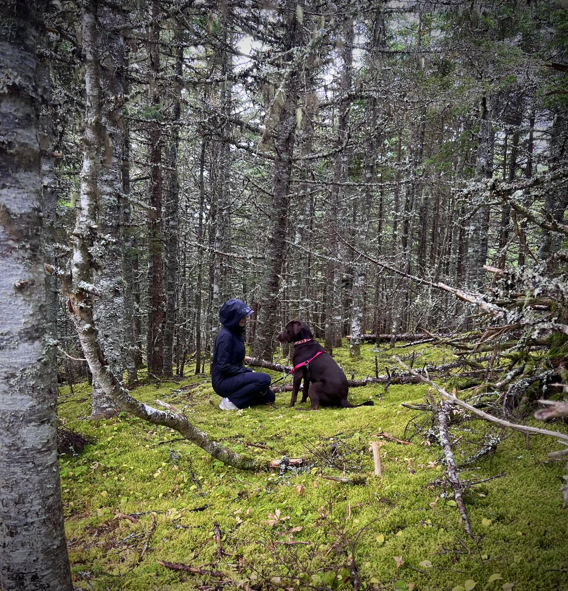 GeminiTay tweet media