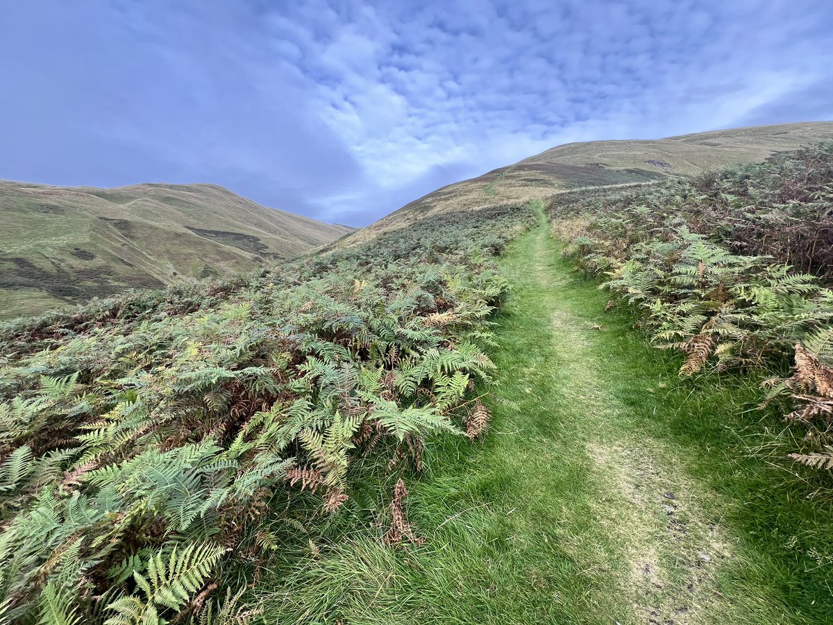 PeakBaggerQ's tweet photo. Double header day in Scotland! Ben Cleuch (Clackmannanshire county high point) was straight up after a beautiful canyon with many waterfalls. Innerdouny Hill, (Kinross COHP), a nondescript hill amidst a tree farm. Best part of the day was mixed grill dinner #CountyTops https://t.co/TUjXNpAHom