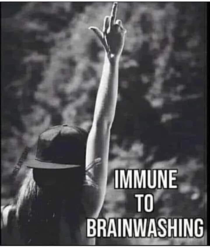 __luzid__'s tweet image. Show me your best anti-vax meme 😎