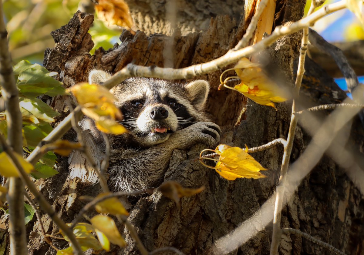 Live look at my Saturday mood