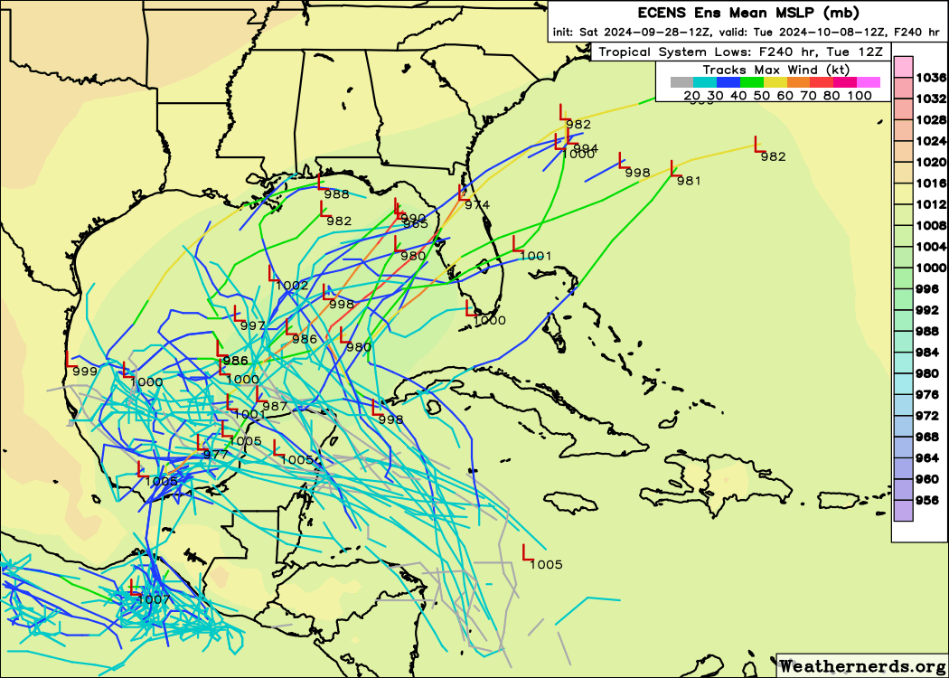 Florida Tropics tweet media