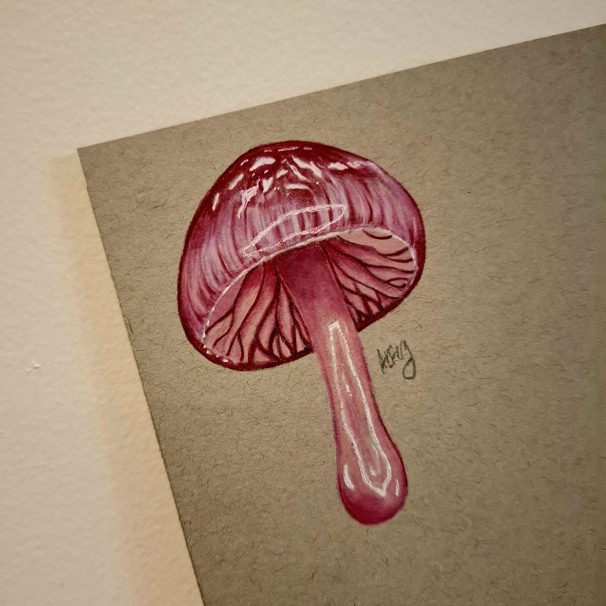Coloured pencil pink mushie 🍄