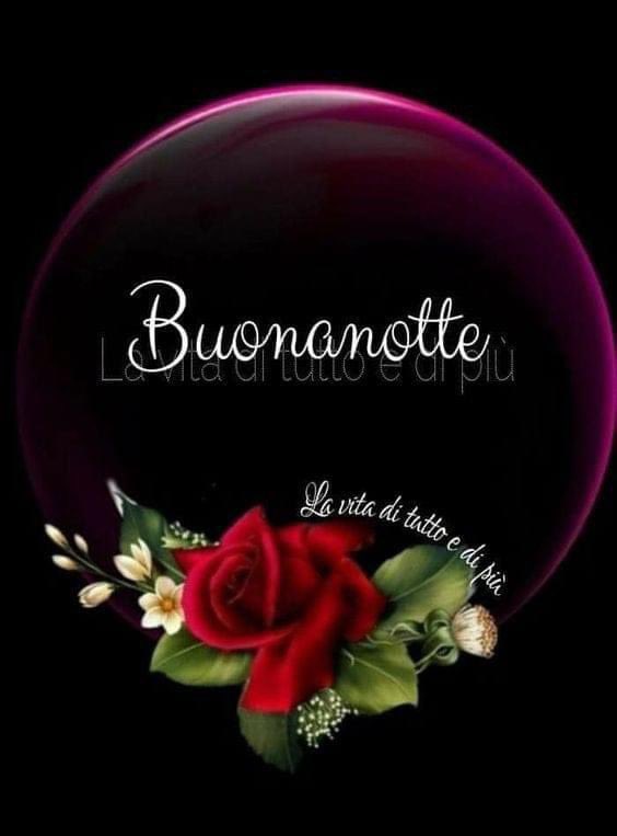 RITABIANCHi56 tweet media