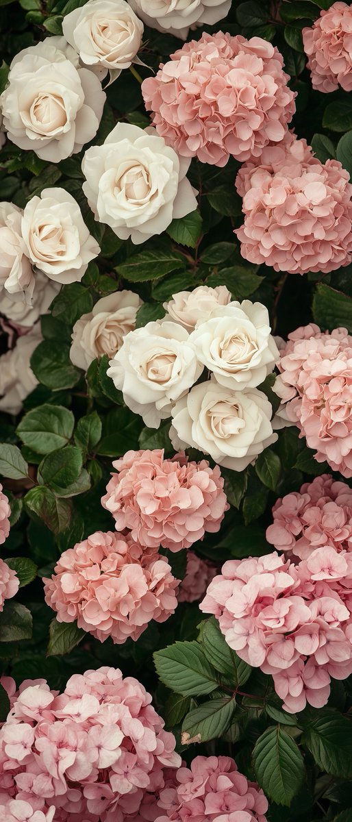 Rose and hydrangea wallpaper