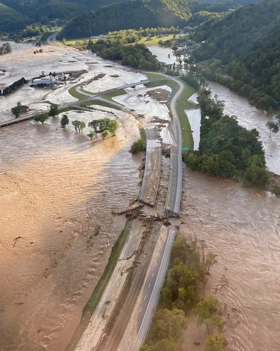 Jamililer tweet media