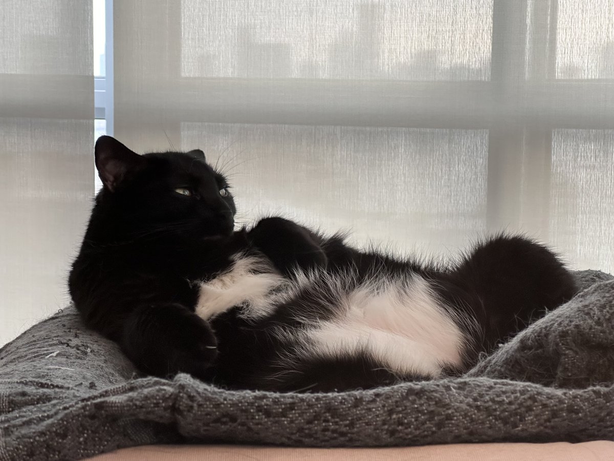 Mary L Trump tweet media