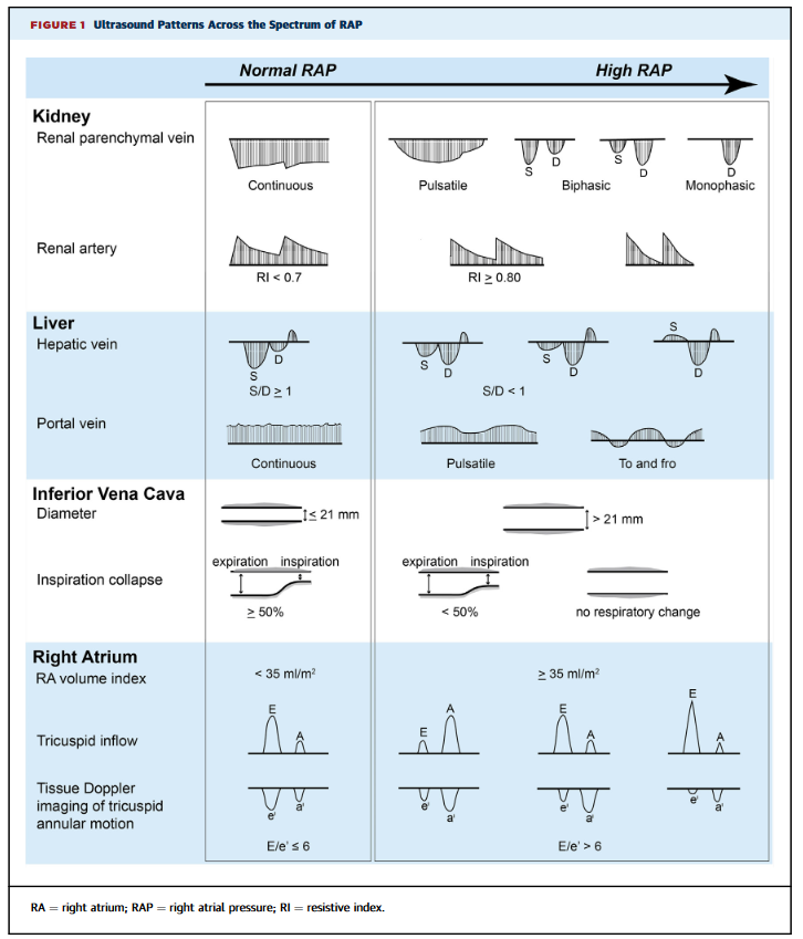 The OG of all #VEXUS illustrations‼️
From Tang &amp; Kitai's editorial in JACC: Heart Failure, 2016
#POCUS #FOAMed #Nephpearls