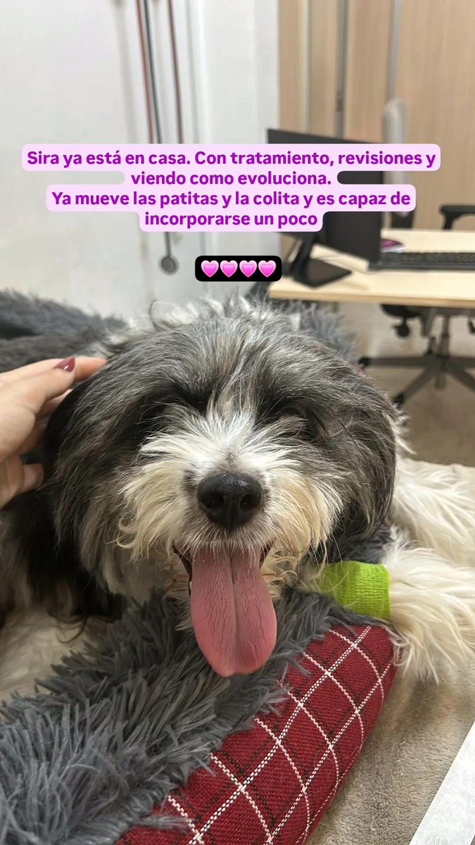 Gracias a todos y todas

Seguiremos informando cuando haya novedades 💗💗💗💗