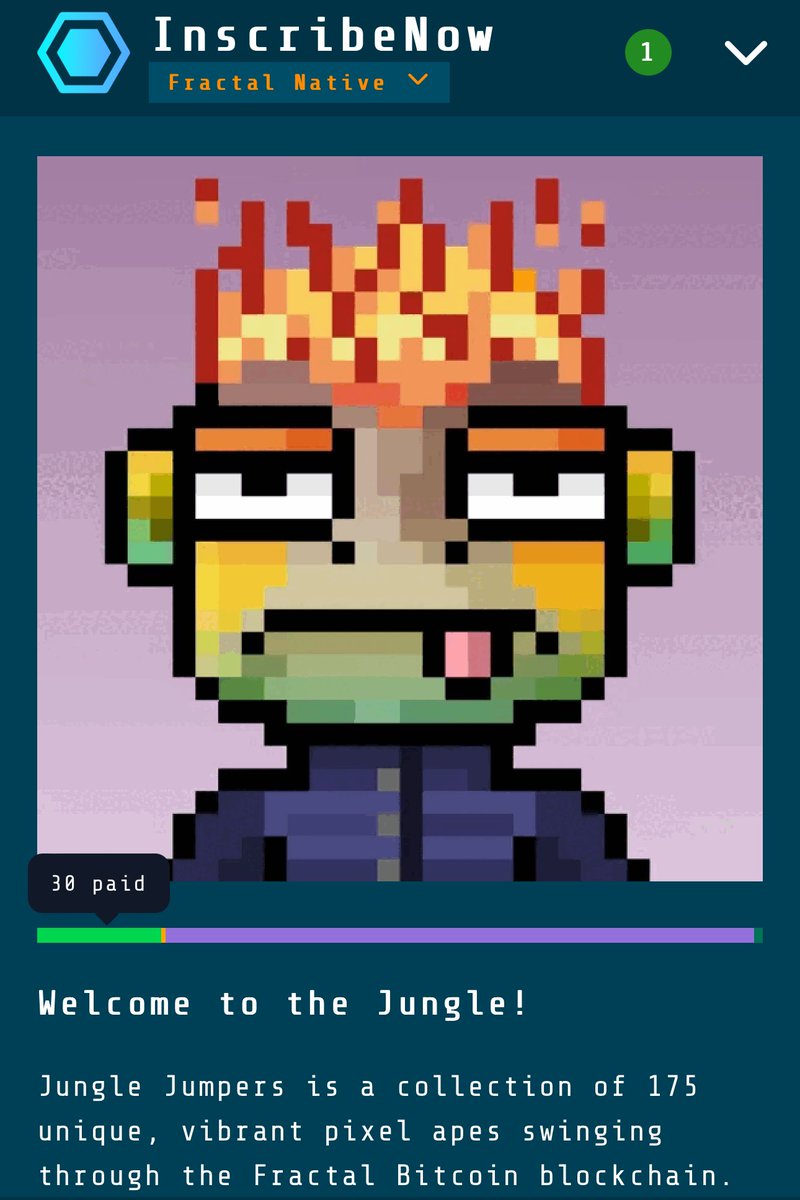 Jungle Jumpers tweet media