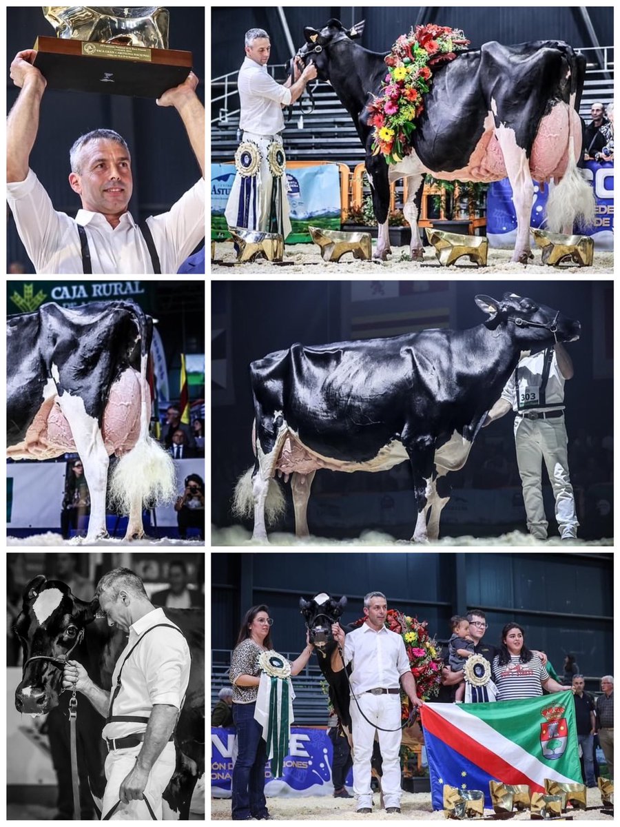 LLINDE ARIEL JORDAN, de SAT CECEÑO, El Tejo (Cantabria)
5 veces CAMPEONA DE ESPAÑA