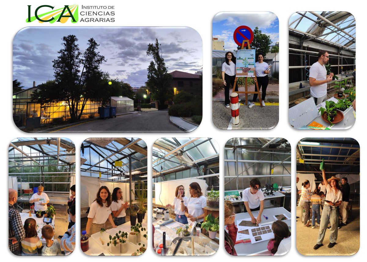 ICA_CSIC (@ica_csic) on Twitter photo #NIGHTSpain,
Ayer tuvimos una tarde de ciencia con los talleres que el <a href="/SAB_laboratory/">Sustainable Agriculture & Biogeochemistry Lab</a>,<a href="/VectoresCSIC/">Fereres Lab. Insect Vectors of Plant Pathogens</a>
<a href="/grupoIBPM/">Grupo IBPM</a>, <a href="/tec4agro/">Tech4Agro</a> y @Borjabig organizaron para la Noche Europea de los investigadores. ¡Gracias a los participantes, que compartieron su curiosidad e interés con nosotr@s!! #NIGHTSpain,
Ayer tuvimos una tarde de ciencia con los talleres que el <a href="/SAB_laboratory/">Sustainable Agriculture & Biogeochemistry Lab</a>,<a href="/VectoresCSIC/">Fereres Lab. Insect Vectors of Plant Pathogens</a>
<a href="/grupoIBPM/">Grupo IBPM</a>, <a href="/tec4agro/">Tech4Agro</a> y @Borjabig organizaron para la Noche Europea de los investigadores. ¡Gracias a los participantes, que compartieron su curiosidad e interés con nosotr@s!!
