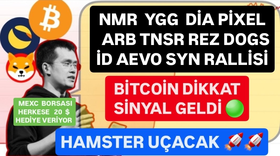 King Of Para tweet media