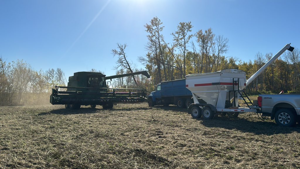 Sask Forage Seed Development Commission tweet media