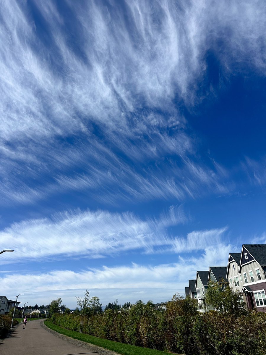 NaikRithika's tweet photo. Cloud art @WashCoScanner @NWSPortland https://t.co/u1gwzwR0rl