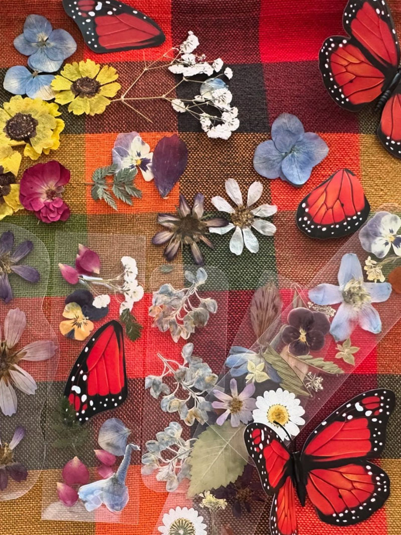 Pollinator Buzz 🦋 - eepurl.com/i0dC0Q