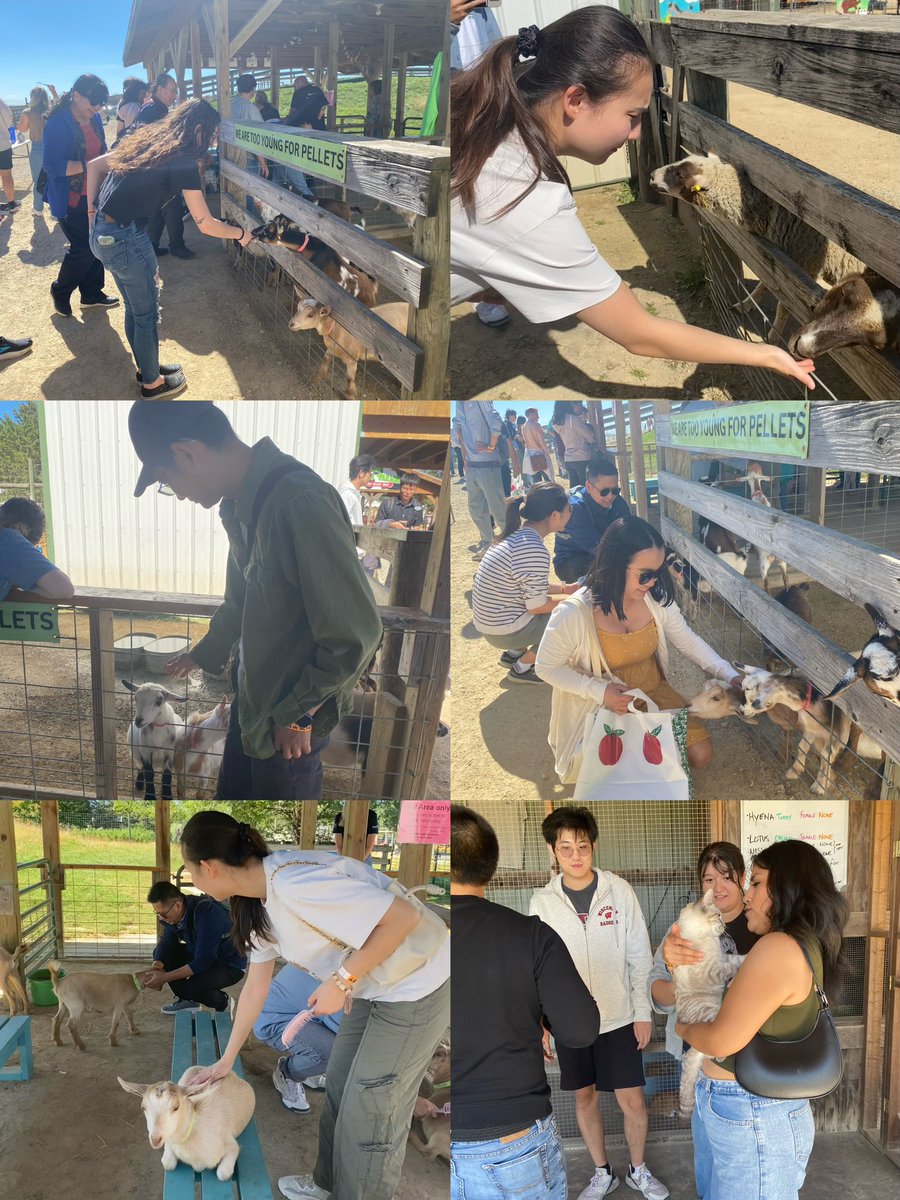 Li Lab had a blast at Eugster’s Farm today with our amazing rotators 🥳Making new furry friends 🐐 Devouring apple cider donuts 🍩 Getting hilariously lost in the corn maze 🌽 (30 minutes, but who’s counting?).  The best part? We finally got to pick those juicy apples this year🍎
