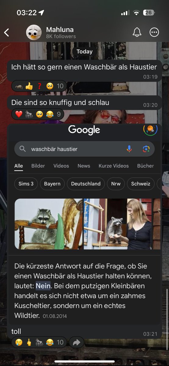 kurzes nächtliches halbwissen zu dem thema mit lea: kann man in deutschland, man muss vorher nur irgendeine genehmigung bekommen und ein gehege haben mit ganz bestimmten voraussetzungen, welches dann von einem wichtigen dude auch abgenickt werden muss <a href="/itsmahluna/">Mahluna</a> 🥲