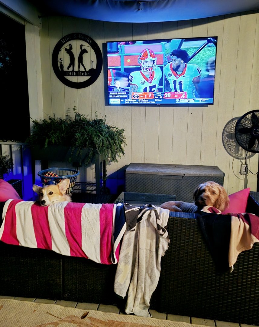 MikeBell929 tweet media