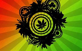 saschaoerder's tweet photo. #Marijuana #Hanf #THC #Weed #Dope #Bong #Joint #Blunt #Tüte #Spliff #Seeds #Samen #Dealer #Weedshop #Coffeeshop #Grow #Grower #Flower #Pflanze #Stoned #High #Feeling #GlasBong #Pipe #Purpfeife #Grinder #Chillum #Röhrchen #Sieb #Rolltrayl #Paper #GEZH #OCB #Mische #Mischeschale.. https://t.co/W0cZJGYLUB