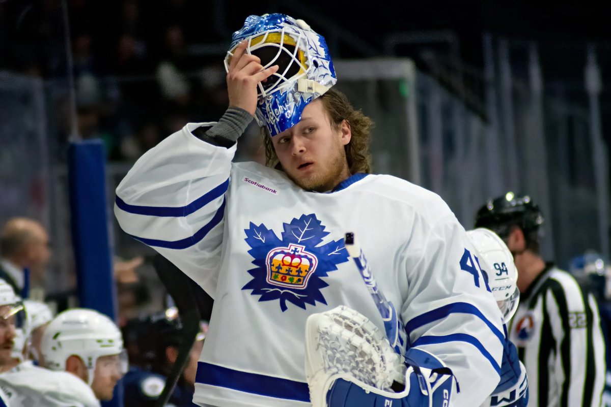 Big Head Leafs tweet media