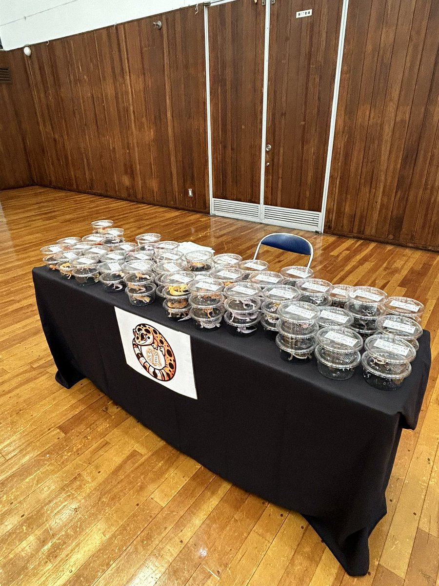 BonMiyabi's tweet image. ジャングルハンター福岡
設営完了✅
離小島で頑張ります💪
寂しいから…来てね😅