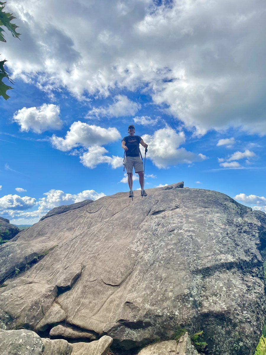 Deb Lawlor (she/her) tweet media