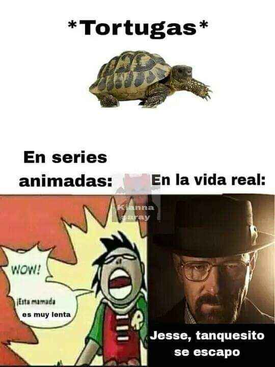 El Maity 🇳🇮🌟 (@el_maity2) on Twitter photo 