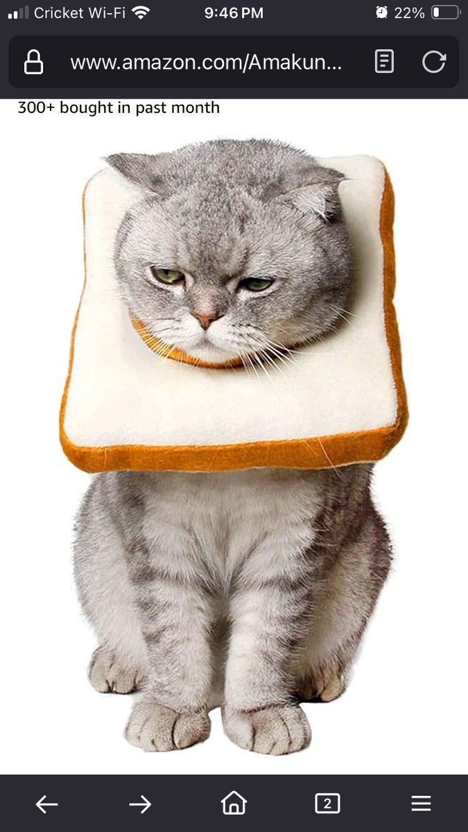 What do I, a whole grown adult, buy my cat in preparation for his upcoming neuter?  Why a soft e-collar in the shape of bread.  Because…bread and Butters…🤣🤣🤣🤣