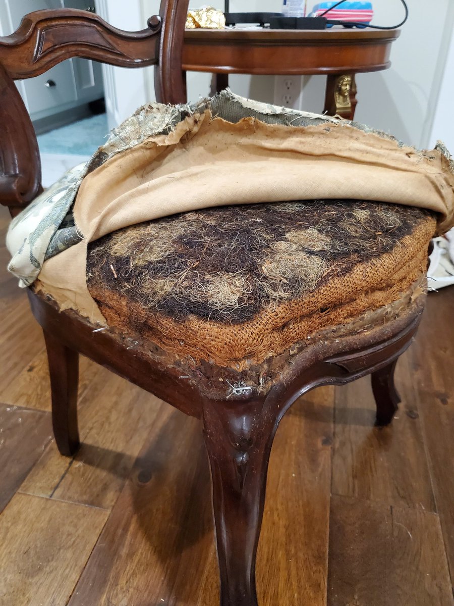 Ryan Folk 🐕 tweet media