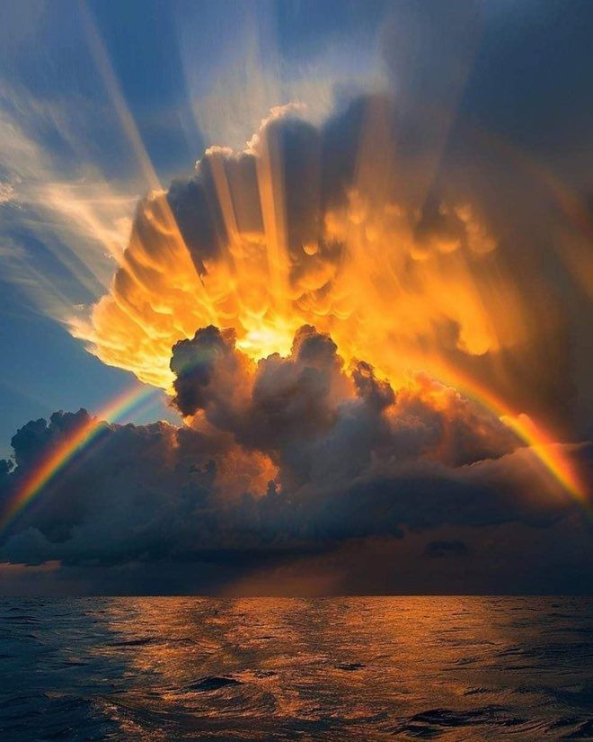 Aesthetics (@aestheticspost_) on Twitter photo 
