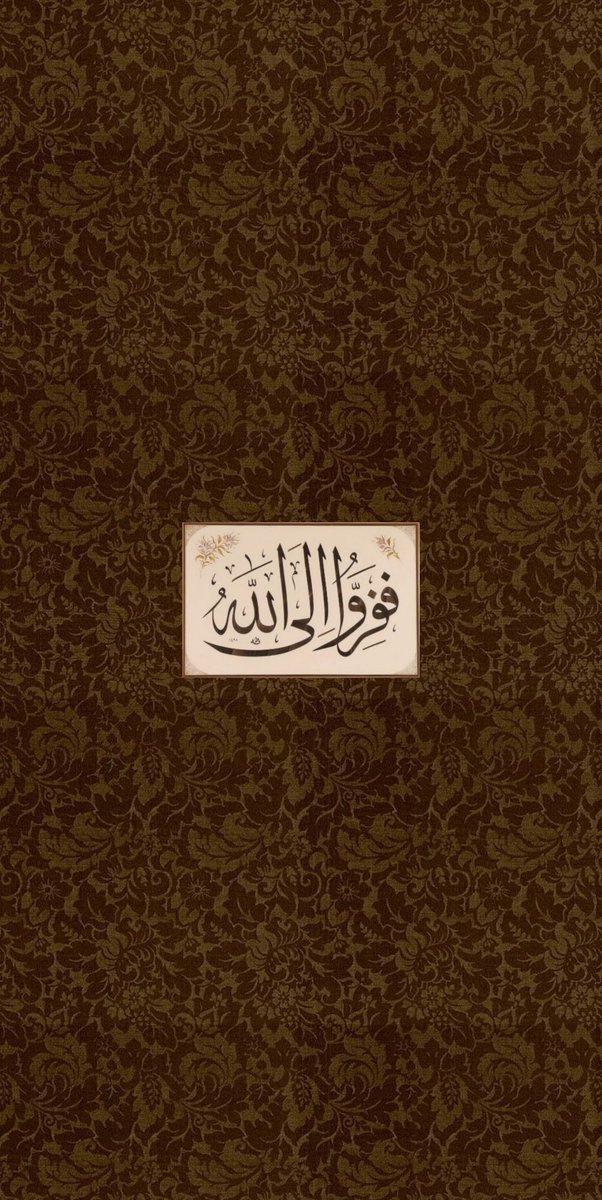 This_Ewan's tweet photo. Carpet wallpaper https://t.co/t0r73g97lH