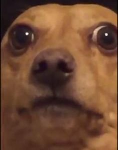 — Está tal que así, mirando a la nada, pensando en todo.