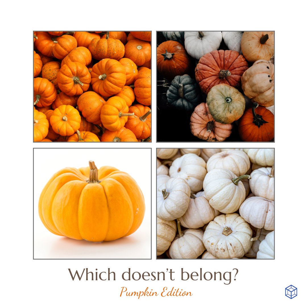 amtnj's tweet image. It's "Which Doesn't Belong" Wednesday! Notice the pictures. Which is unique?
#math #mathroutine #njteacher #njteachers #wodb #mathteacher #mathteachers #pumpkin #October  #sweaterweather #falleaves #fallvibes #autumn #pumpkin📷 #PumpkinSpice  #pumpkinseason