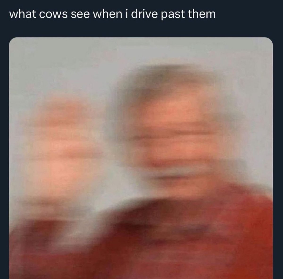 2dollar38's tweet image. 