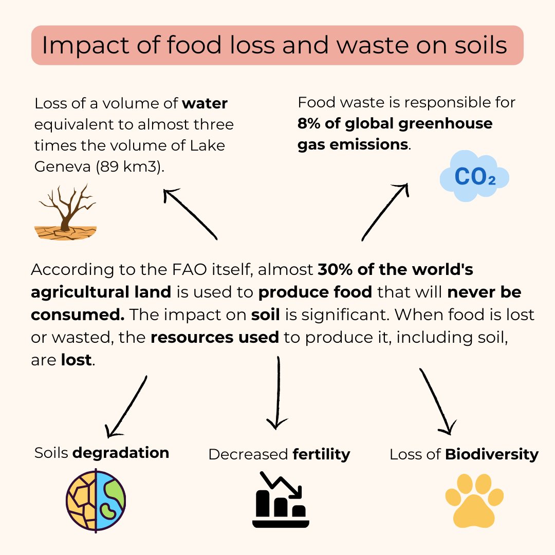 Did you know? Nearly 30% of the world’s agricultural land grows food that never gets eaten! 😲 This waste harms our soil and the natural resources used in production. On International Food Loss and Waste Awareness Day 🌍🍽️, let’s raise awareness about it.💚 #FoodWaste #SoilHealth