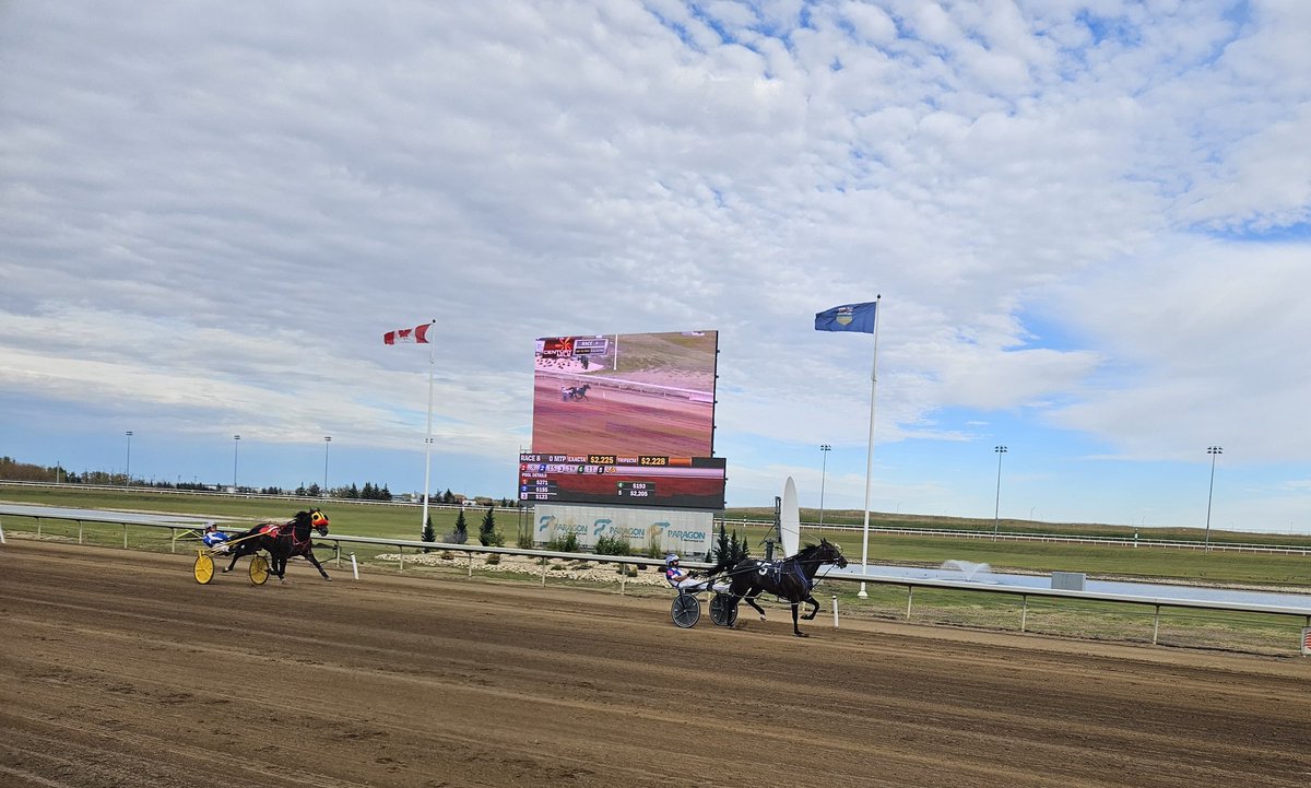 Win #48 for Shark Week. Most of them have been this easy! <a href="/cntymile/">Century Mile</a>