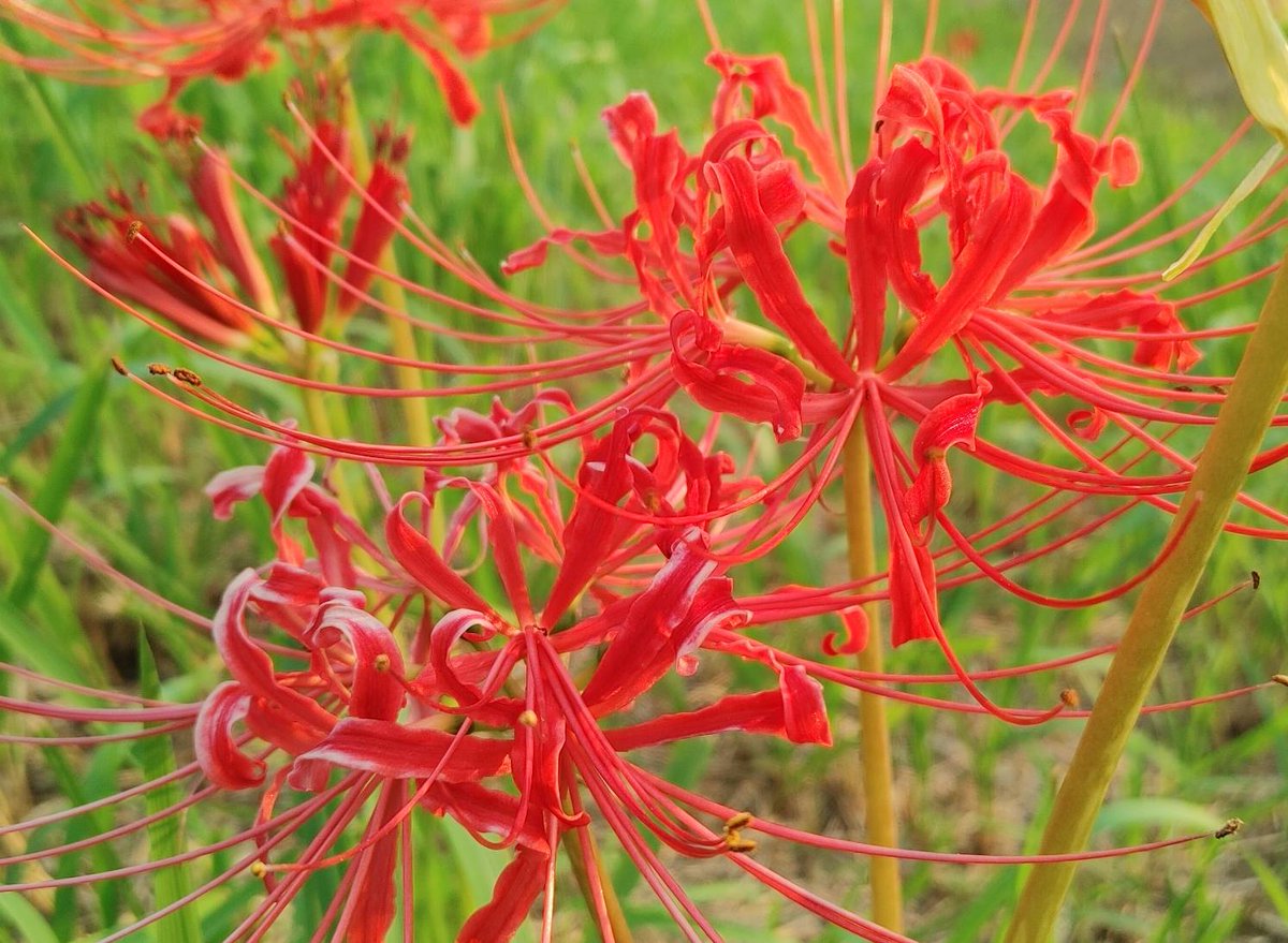 おはようございます🤗

７時ジャスト間に合わない💦
ち～ん🔔自己欲求🤣

晴れてたので☀️
早朝から少しツーリング～🏍️
　　　　　　　　　　　　　　
体調回復してそう～🙌🎵　　　　

本日もＸ楽しみましょう🎵
🔥アクティブファイヤー🔥

よろしくお願いします🤗

#60929おは戦🍨p2

素敵な１日を🌈