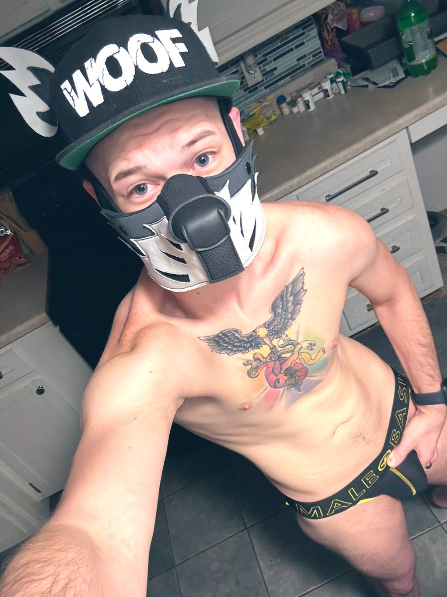 PupPyro96's tweet photo. This pupper wuffs you! *tail wags * 🐶 https://t.co/VIuVlu044w