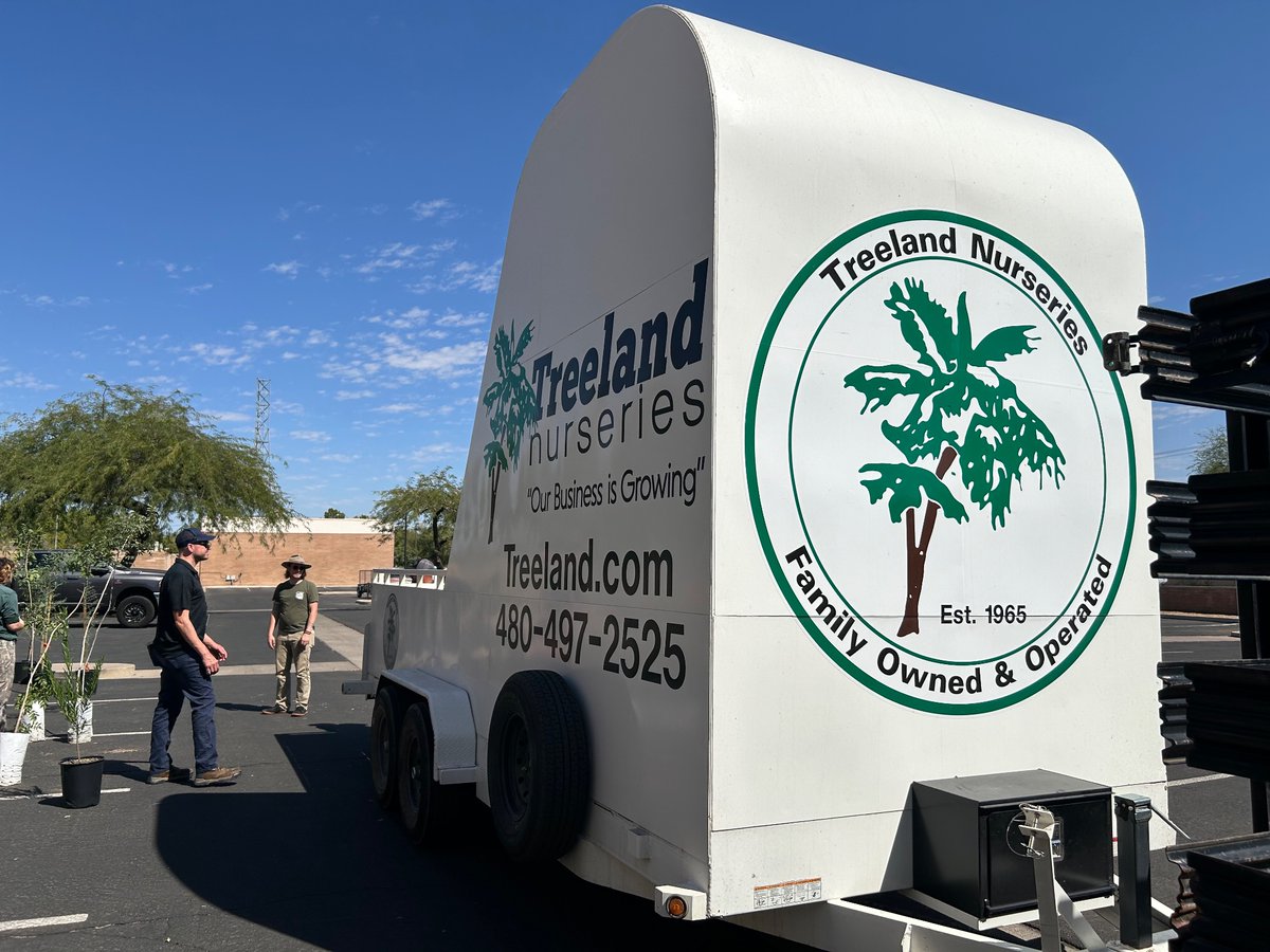LivingGreenMesa's tweet photo. Over 100 trees were distributed to our @CITYOFMESA Electric customers today. They are helping us plant desert trees to cool our neighborhoods, to reduce energy use, and to help clean our air. 

#TreesAreCool #MesaClimateAction https://t.co/QxaLn5vkRI