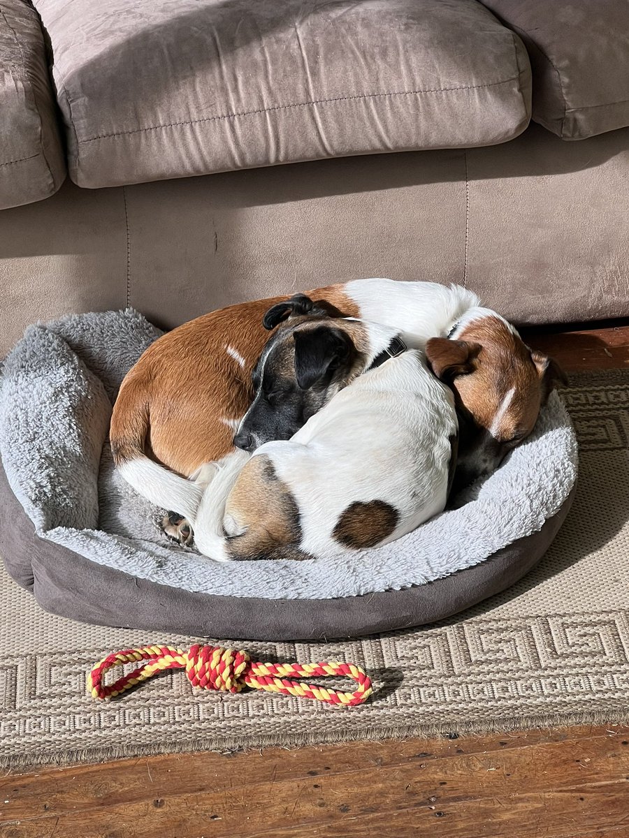 Brothers 4 life!

🥐💙❤️