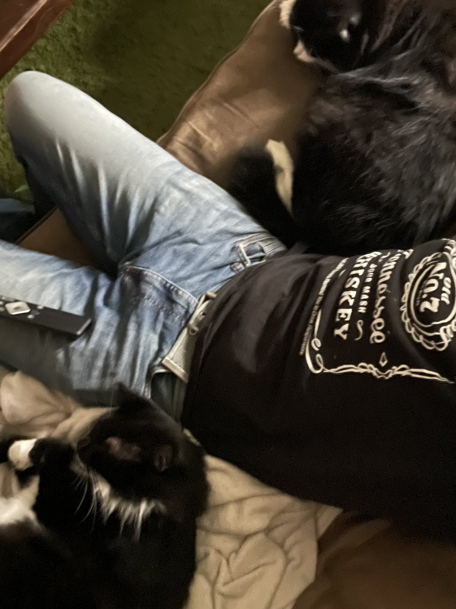 Adventure Drunk tweet media