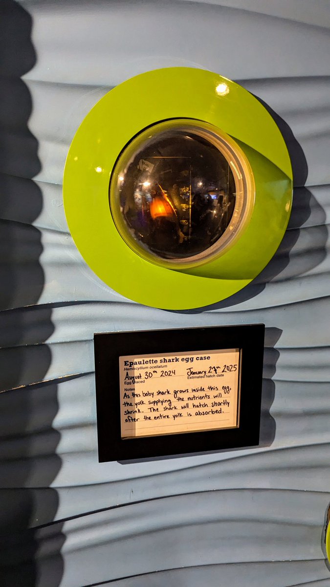 Dr. Ortiz, Process Chemistry-er tweet media