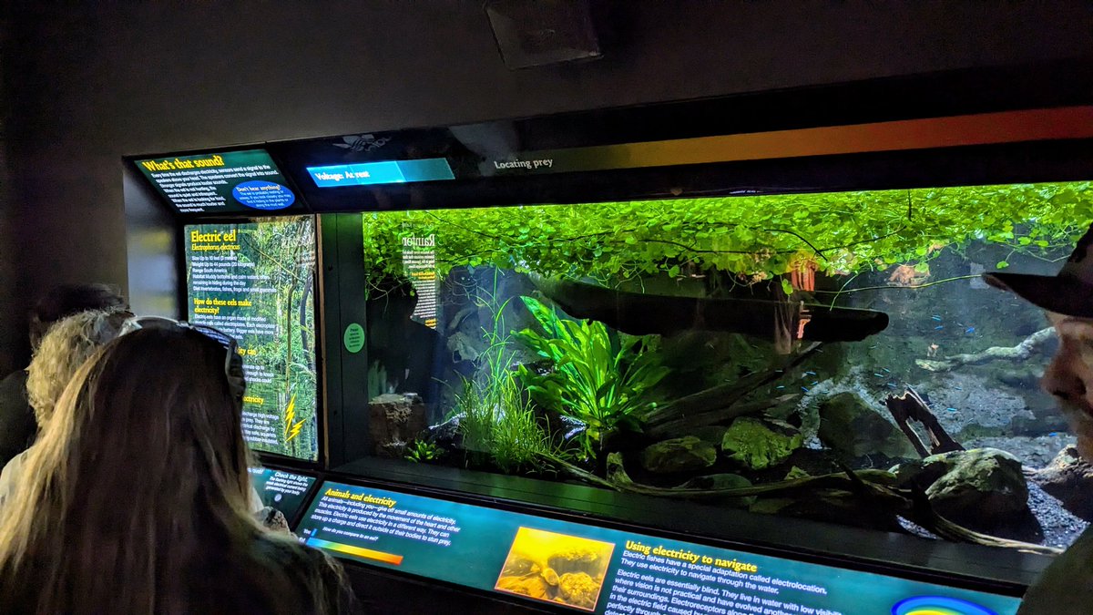 Dr. Ortiz, Process Chemistry-er tweet media