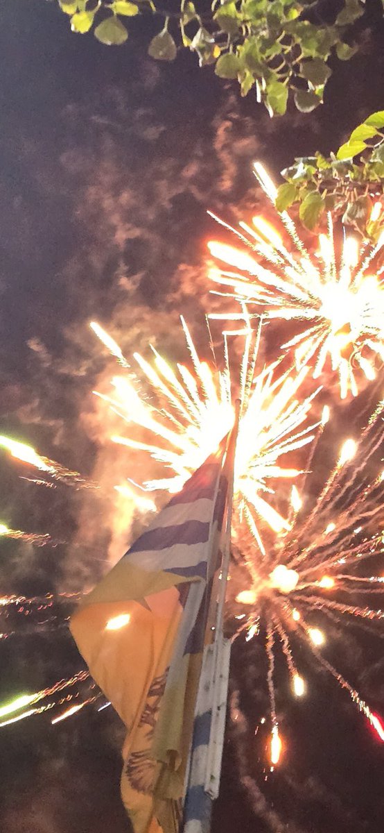 Naranja soldado (@yellowblue1926) on Twitter photo 