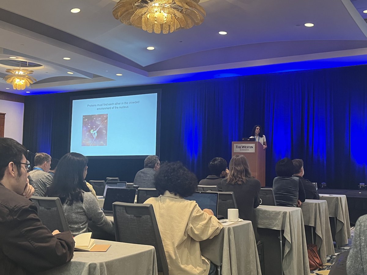 Ben Sabari (@bsabari) on Twitter photo Graduate students <a href="/mikayla_eppert/">Mikayla Eppert</a> and <a href="/Heankel_/">Heankel Lyons</a> representing the lab at the <a href="/ASBMB/">ASBMB</a> transcription regulation meeting with a poster and a talk. Stay tuned for exciting work from both of these super star grad students. Graduate students <a href="/mikayla_eppert/">Mikayla Eppert</a> and <a href="/Heankel_/">Heankel Lyons</a> representing the lab at the <a href="/ASBMB/">ASBMB</a> transcription regulation meeting with a poster and a talk. Stay tuned for exciting work from both of these super star grad students.
