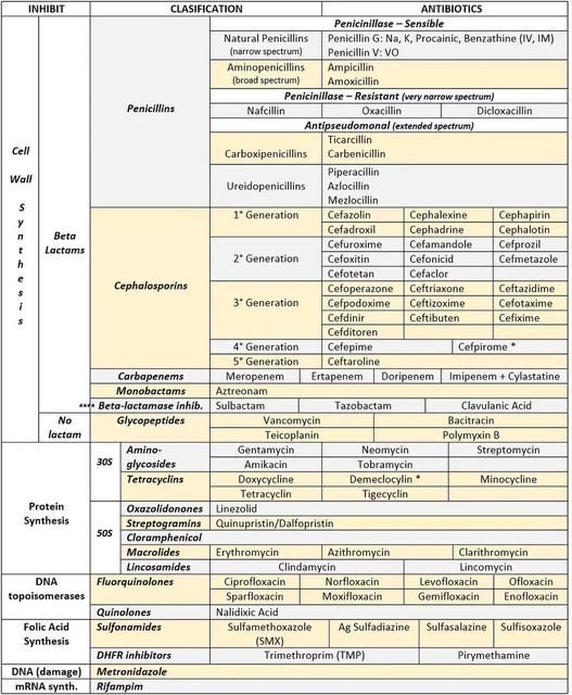 How do antibiotics work?