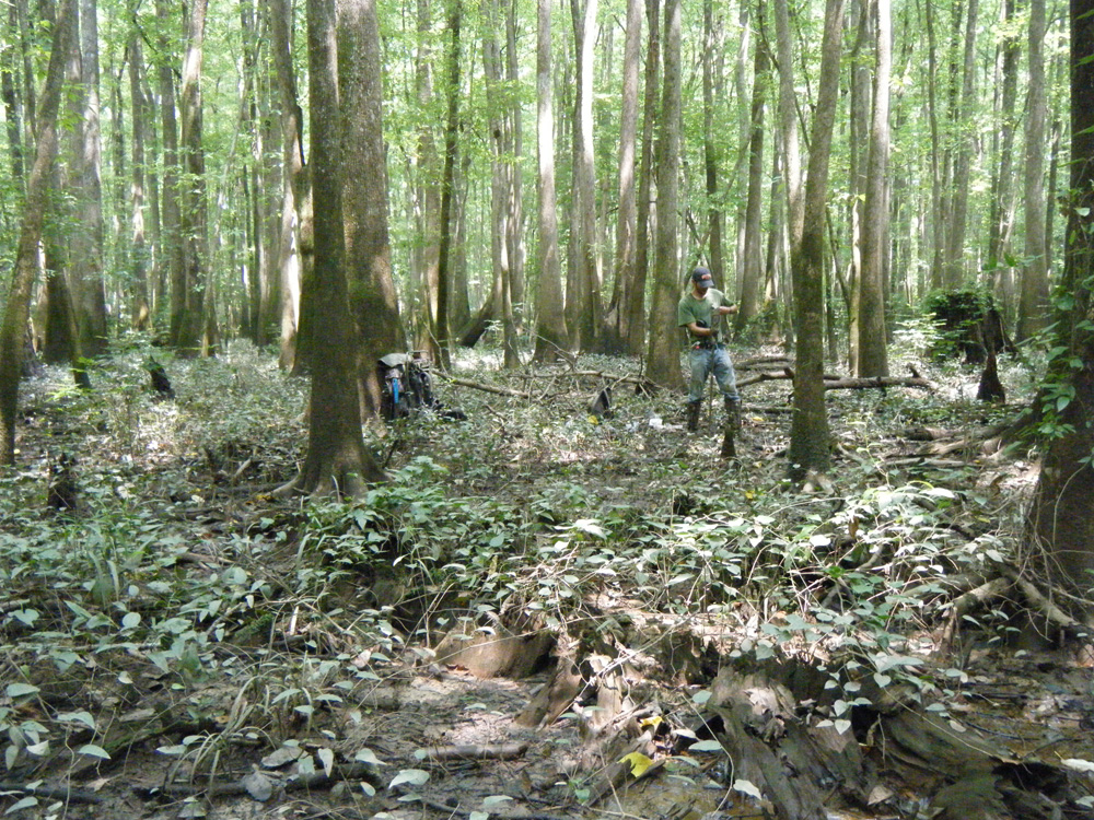 M.C. Ricker 🐲 tweet media